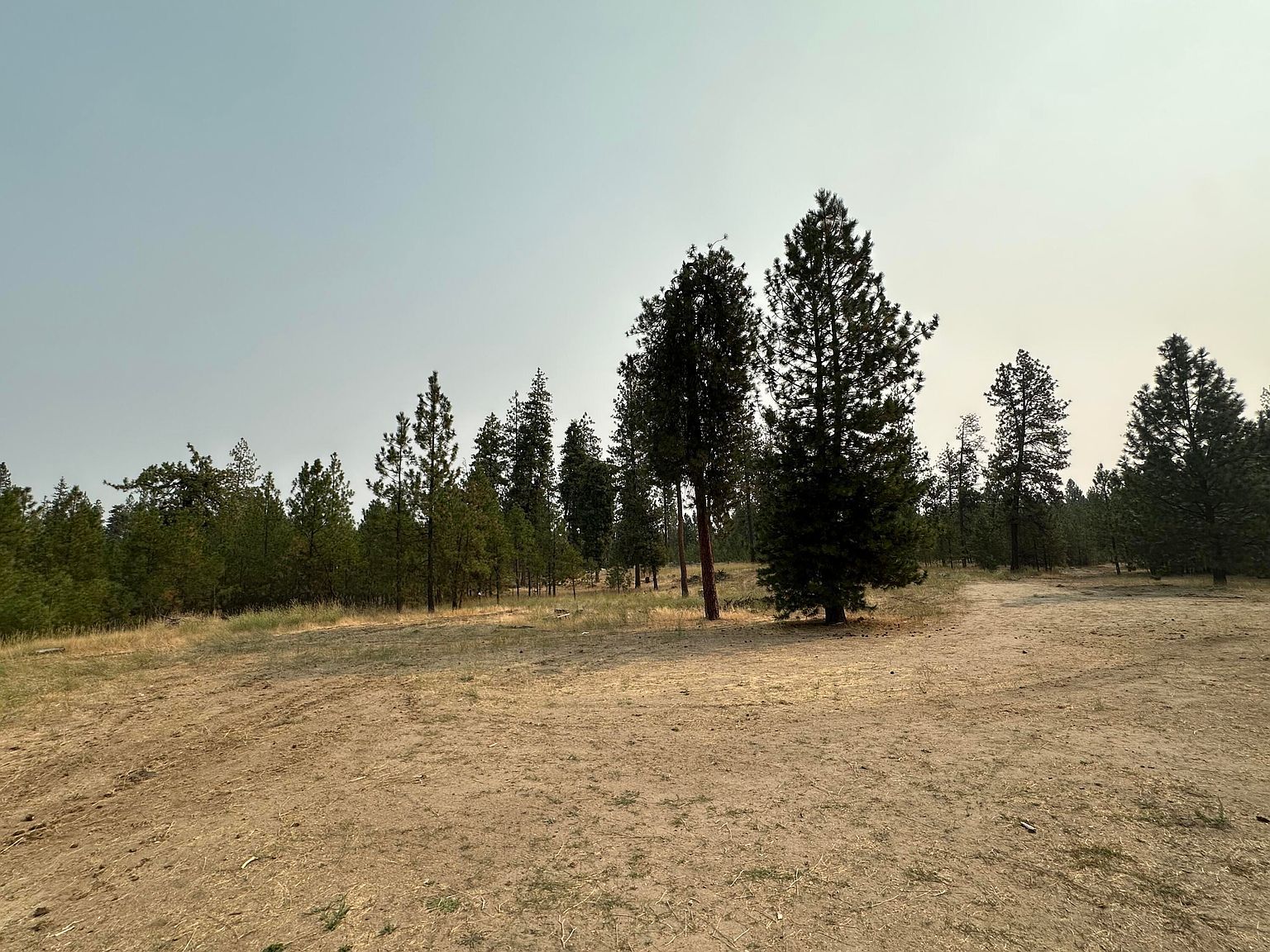 5604B Martha Boardman Rd Wellpinit, WA 99040 - Thumbnail 5