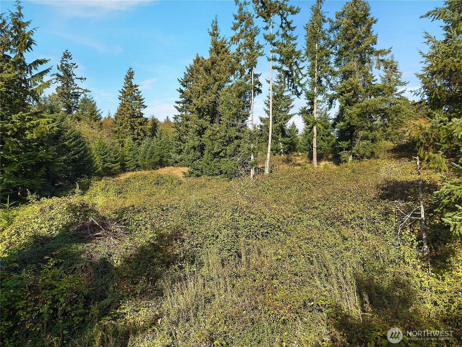 0 Rogers Rd #2 Kalama, WA 98625 - Thumbnail 5