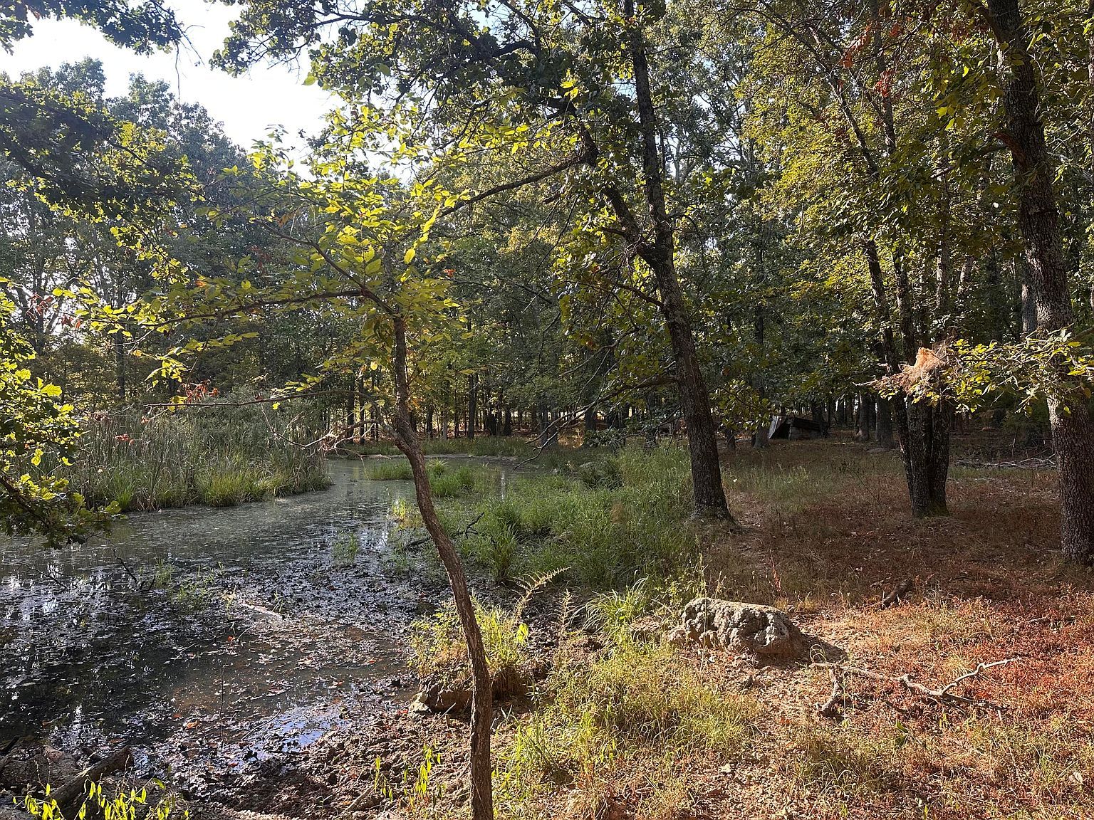 0 Grimes Mill Dr Mountain Grove, MO 65711 - Thumbnail 5