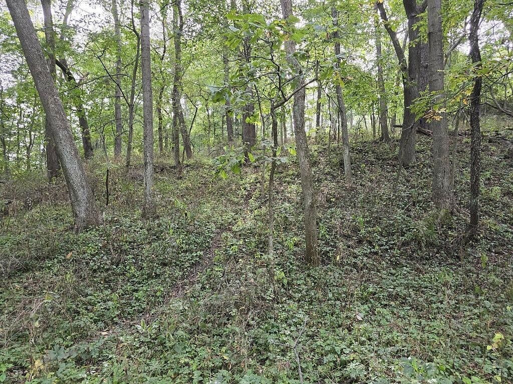 Tbd West St Galena, IL 61036 - Thumbnail 5