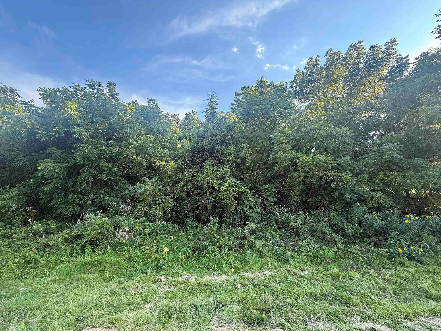 114 W Glen Hollow Rd Galena, IL 61036 - Thumbnail 5