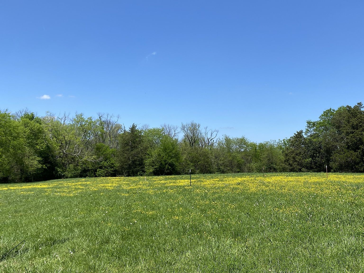 0 Midland Fosterville Rd LOT 2B Bell Buckle, TN 37020  | Land/Lot