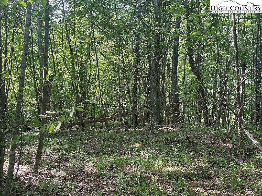 Tbd Jont Mountain Rd Lansing, NC 28643 - Thumbnail 5