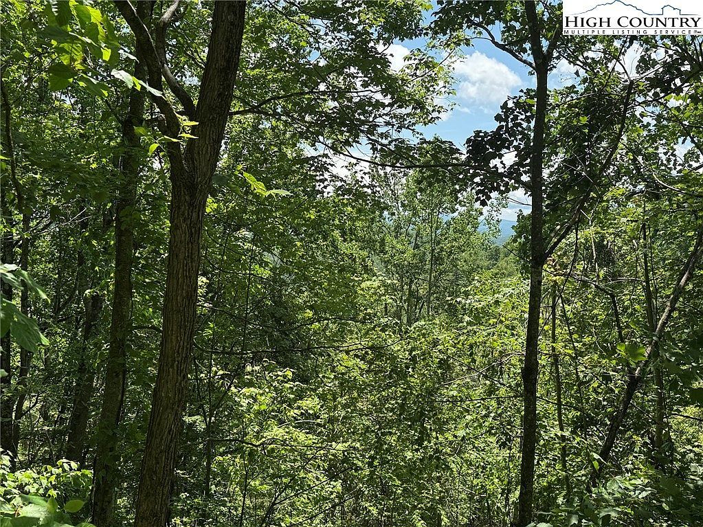 Tbd LOT 1 Mouth Of Wilson, VA 24363 - Thumbnail 5