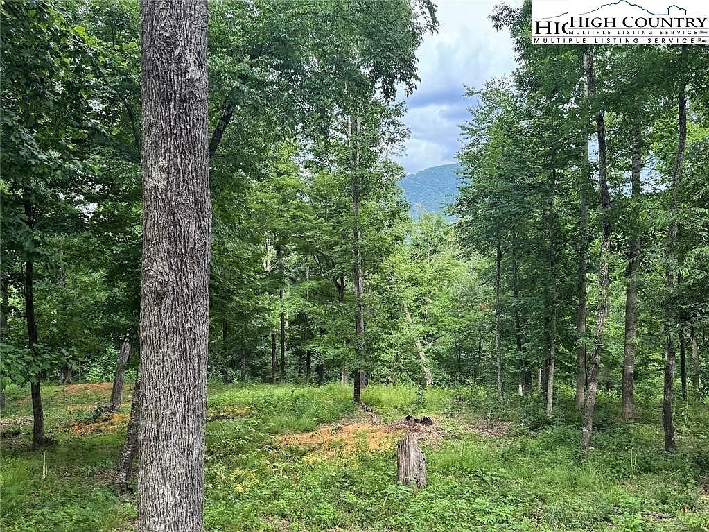 10 Autumn Ln West Jefferson, NC 28694 - Thumbnail 5