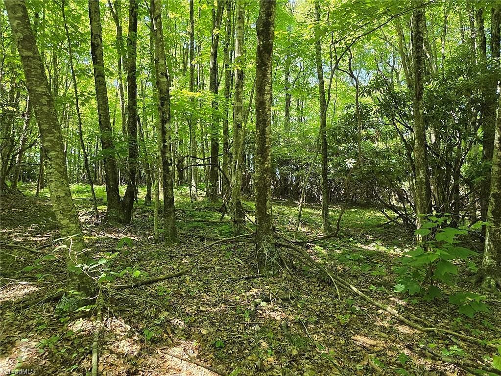 76 White Tail Trl LOT 76 West Jefferson, NC 28694 - Thumbnail 5