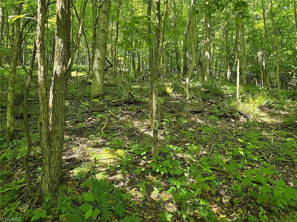 66 White Tail Trl West Jefferson, NC 28694 - Thumbnail 5