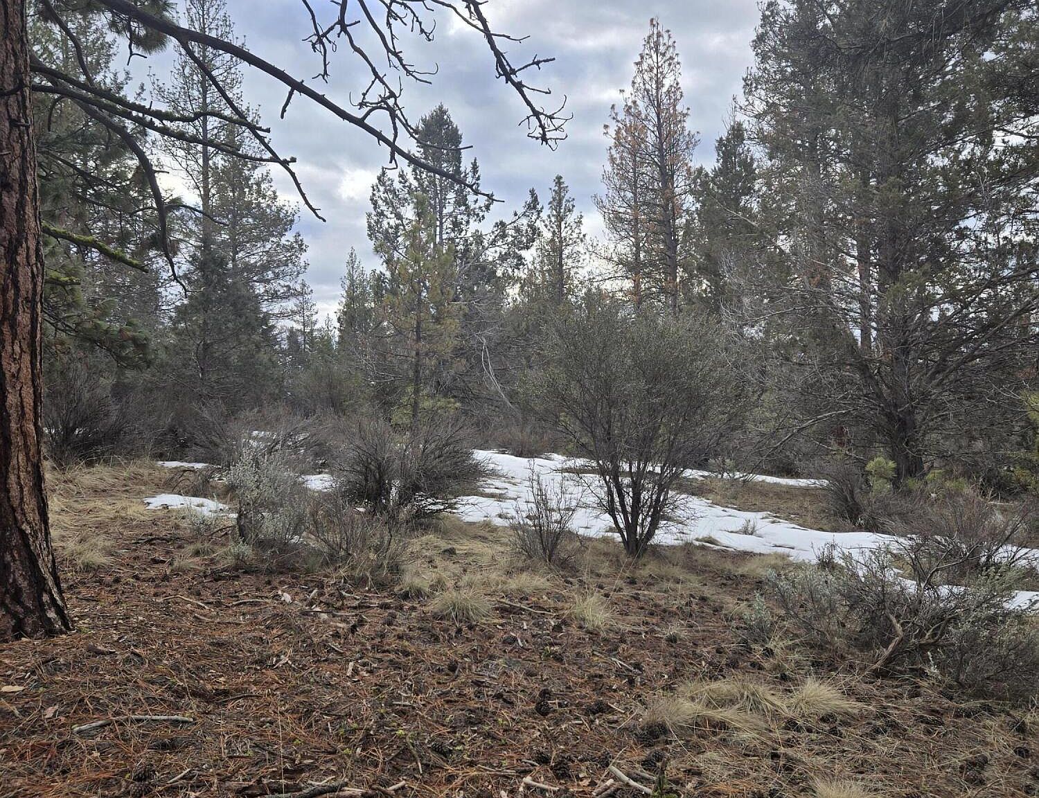 Jaguar Ln LOT 7 & 8 Bonanza, OR 97623 - Thumbnail 5