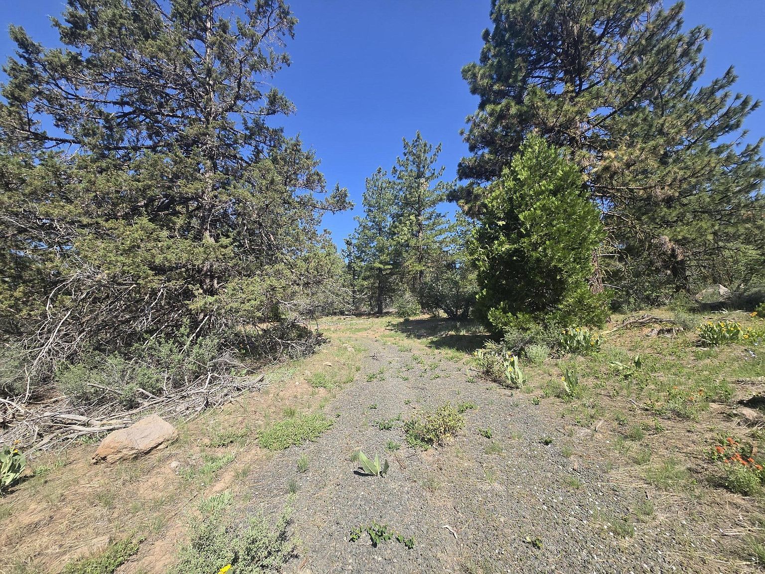 Meadow Lark Dr LOT 12 Bonanza, OR 97623 - Thumbnail 5
