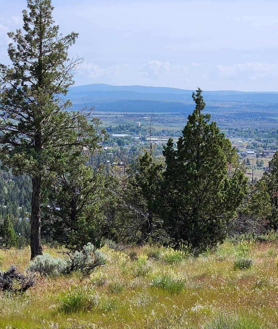 E Hummingbird Ln LOT 5 Alturas, CA 96101  | Land/Lot