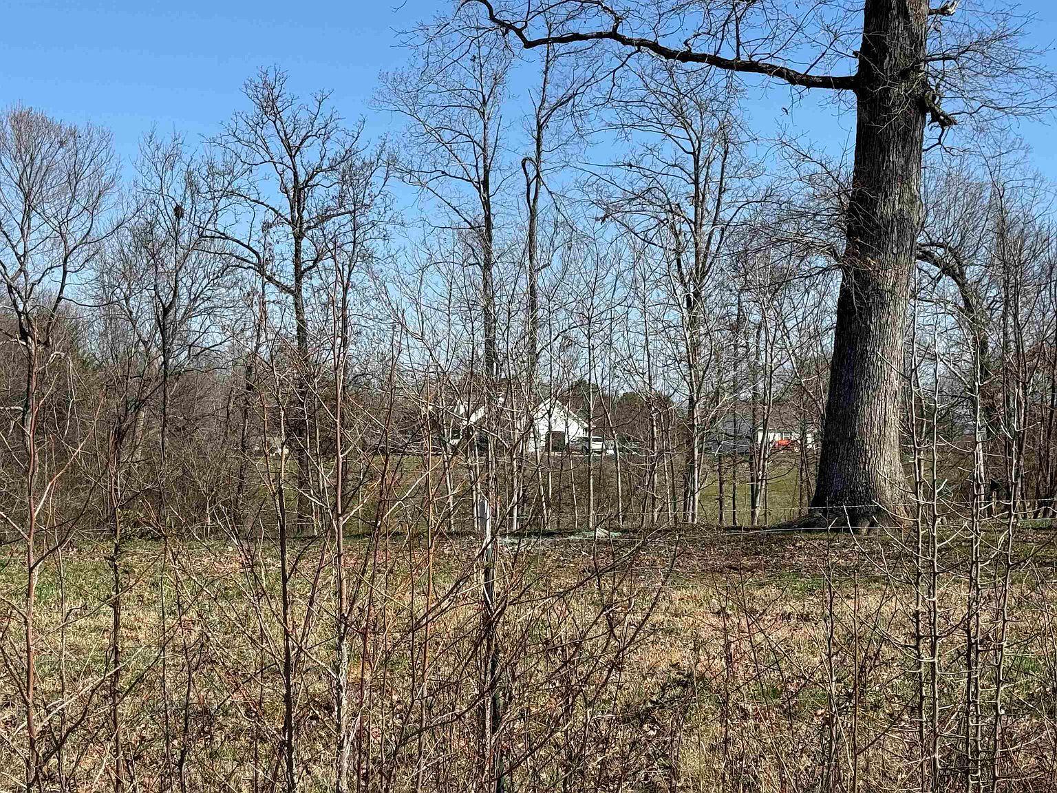 0 Cox Rd Killen, AL 35645  | Land/Lot