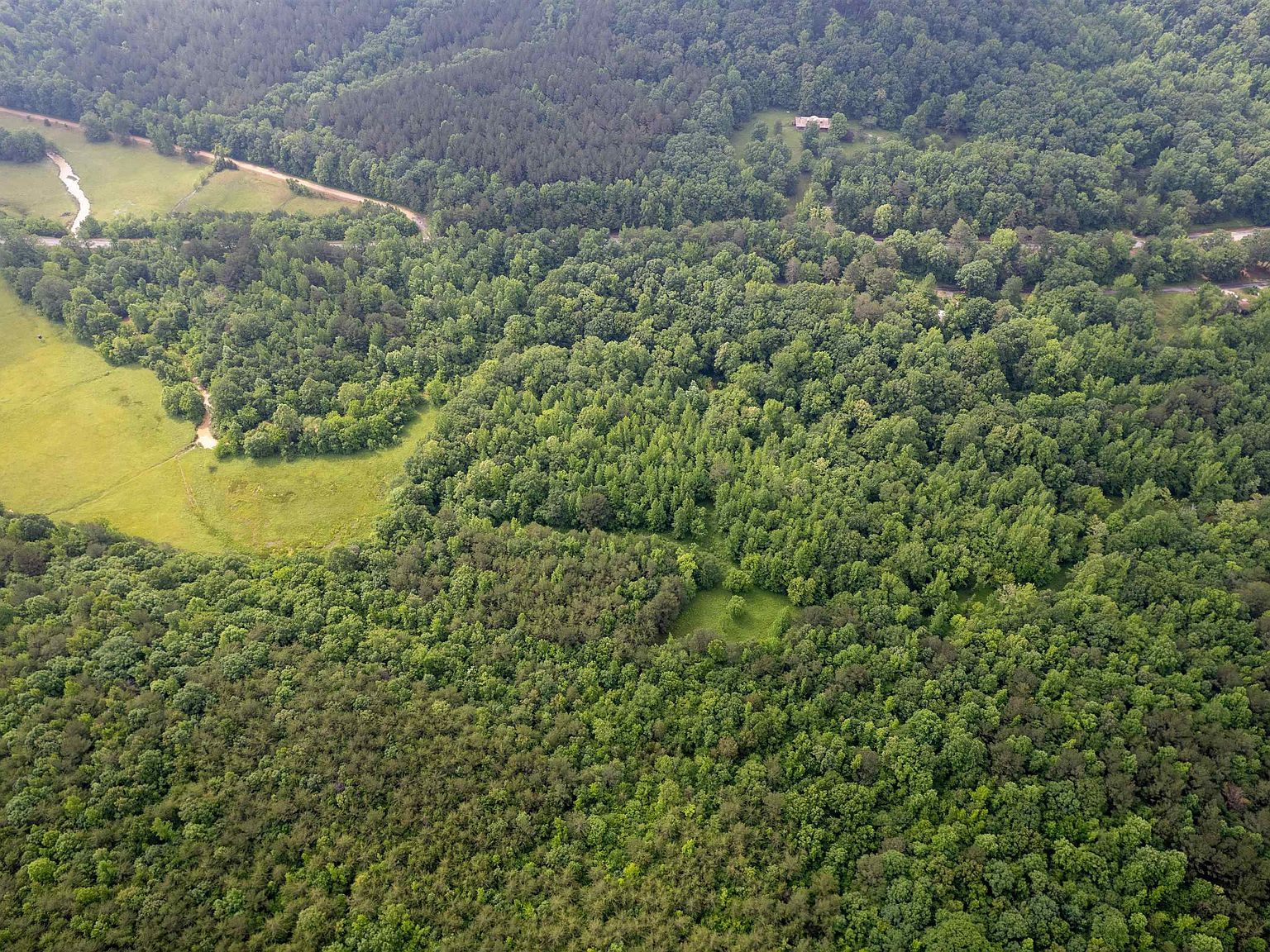 0 Posey Loop Tuscumbia, AL 35674 - Thumbnail 5