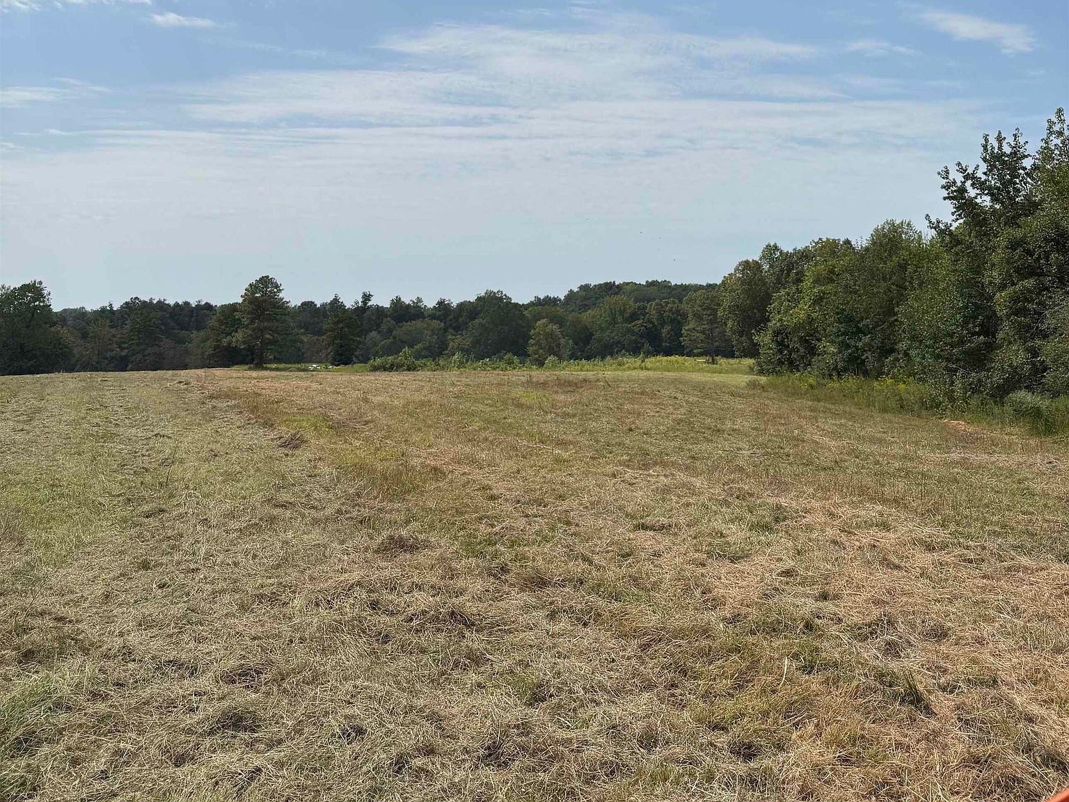 5221 County Road 50 Lexington, AL 35648 - Thumbnail 5