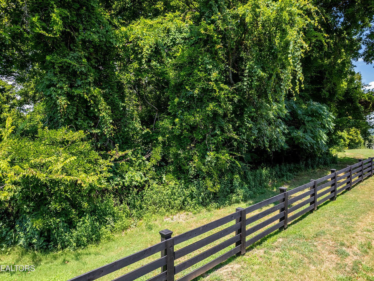 LOT 11 Rankin Ferry Loop, Louisville, TN, 37777 - Thumbnail 5