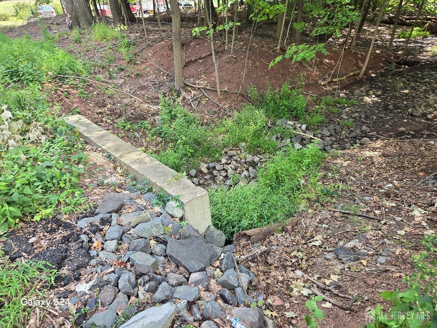 17 Lake Park Dr Piscataway, NJ 08854 - Thumbnail 5