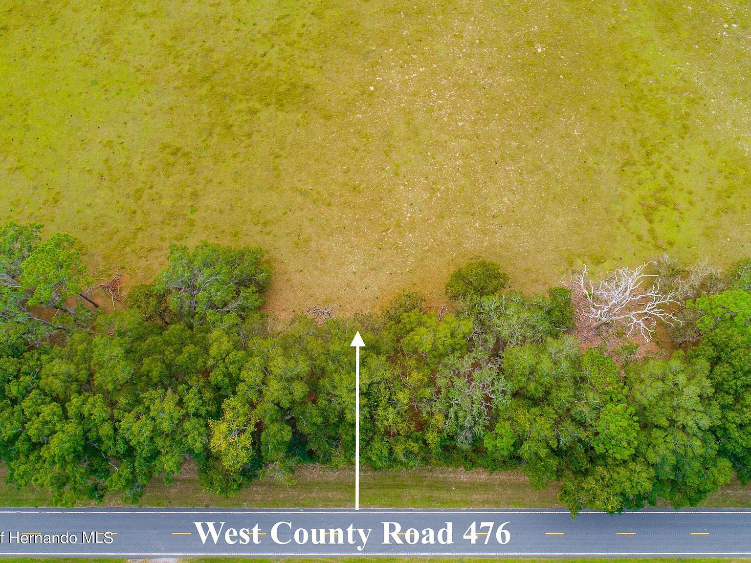 0 County Road 476 Bushnell, FL 33513 - Thumbnail 5