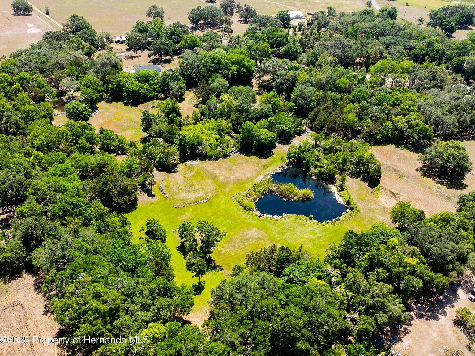 8800 S Steed Ter Floral City, FL 34436 - Thumbnail 5