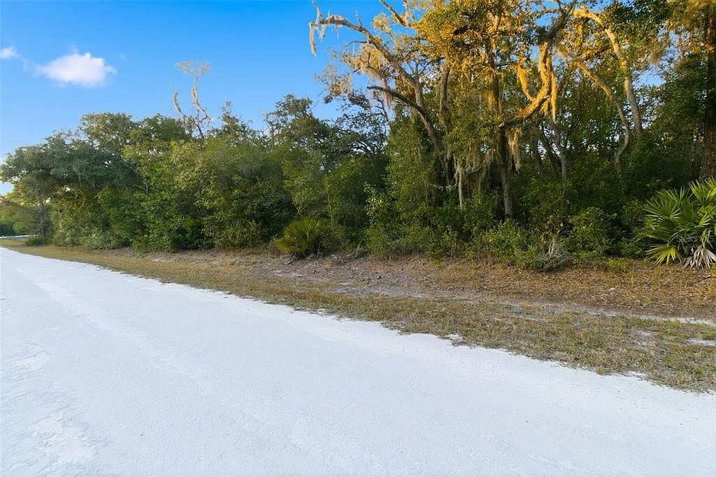 Riverstone St LOT 7 Webster, FL 33597 - Thumbnail 5