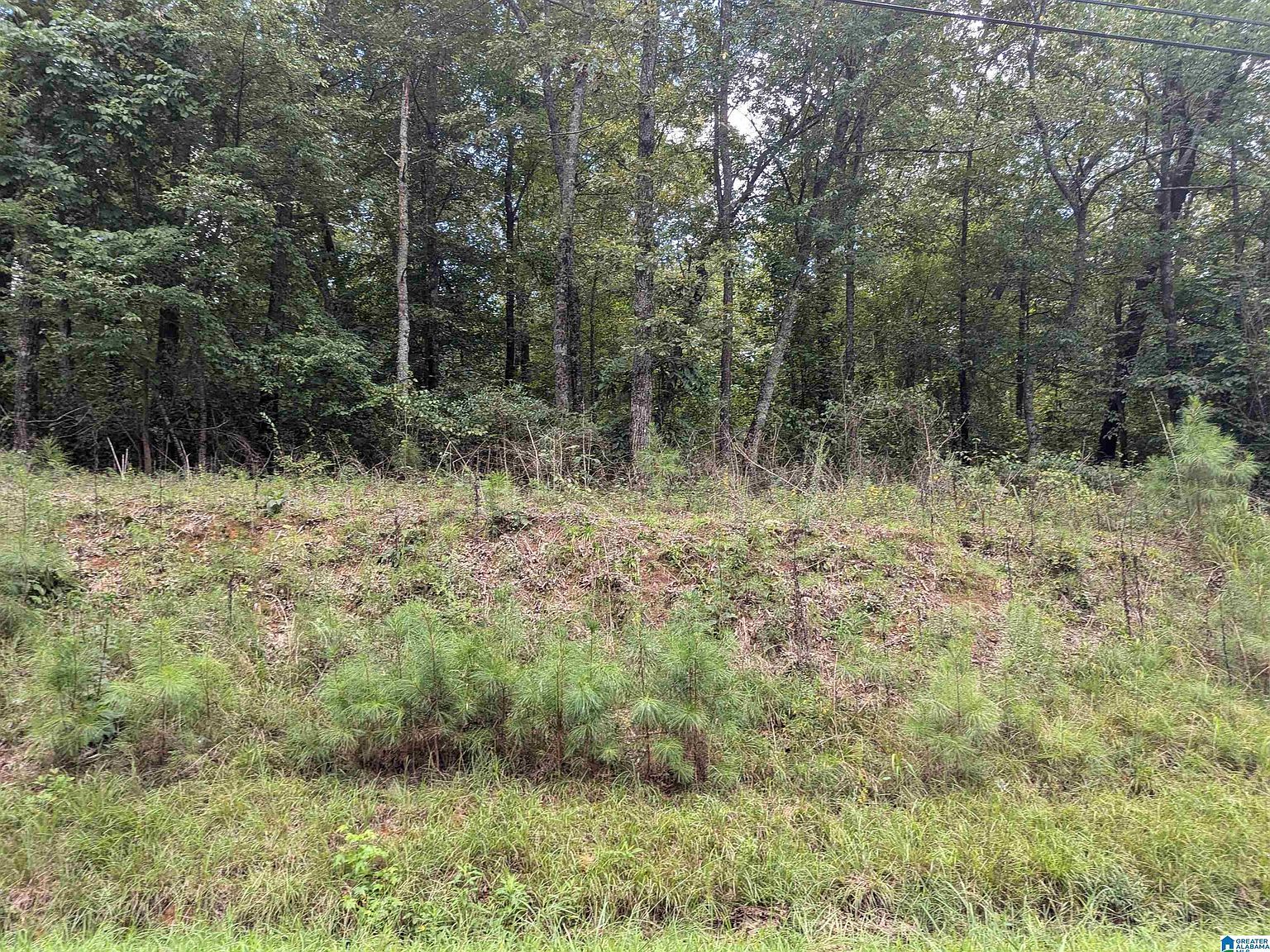 0 Jones Rd Lot 1 Anniston, AL 36207 - Thumbnail 5
