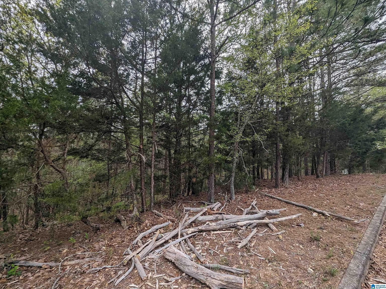 0 Winfrey Ln Lot 241 Anniston, AL 36206 - Thumbnail 5