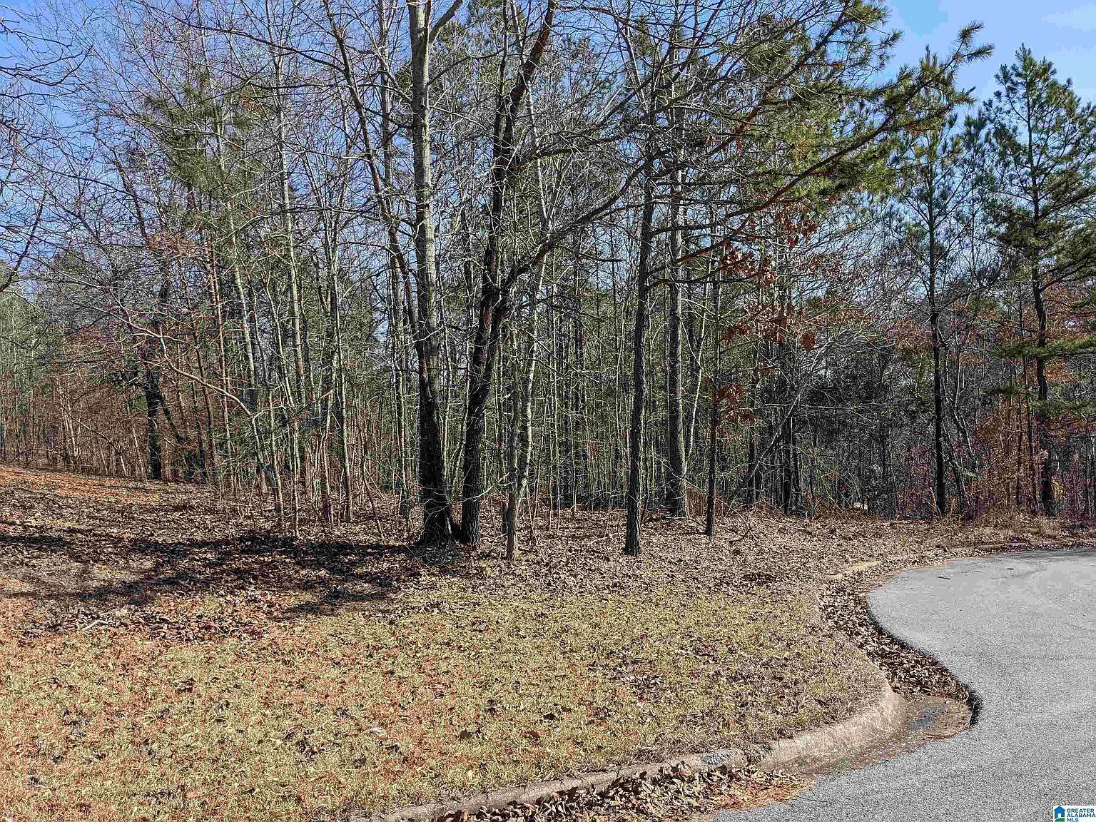 0 Winfrey Ln Lot 246 Anniston, AL 36206 - Thumbnail 5