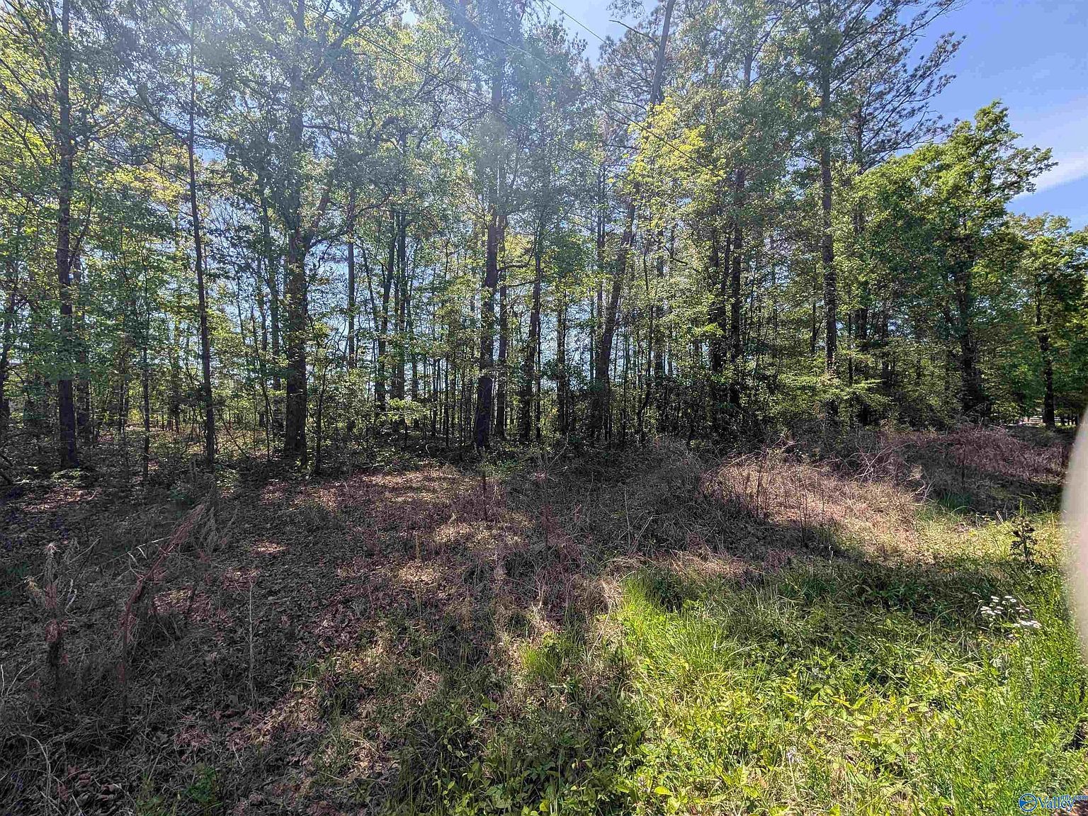11 Paradise Ave Gadsden, AL 35903 - Thumbnail 5