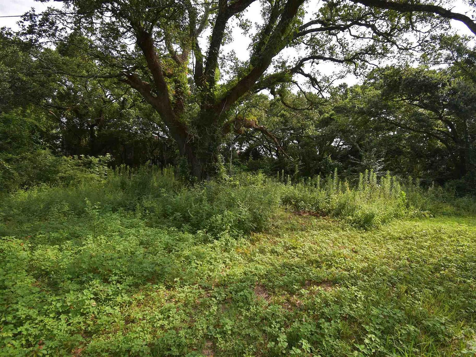 956 Hansel St Pensacola, FL 32505 - Thumbnail 5