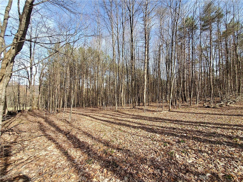 4 & LOT 5 Mount Vision, NY 13810 - Thumbnail 5