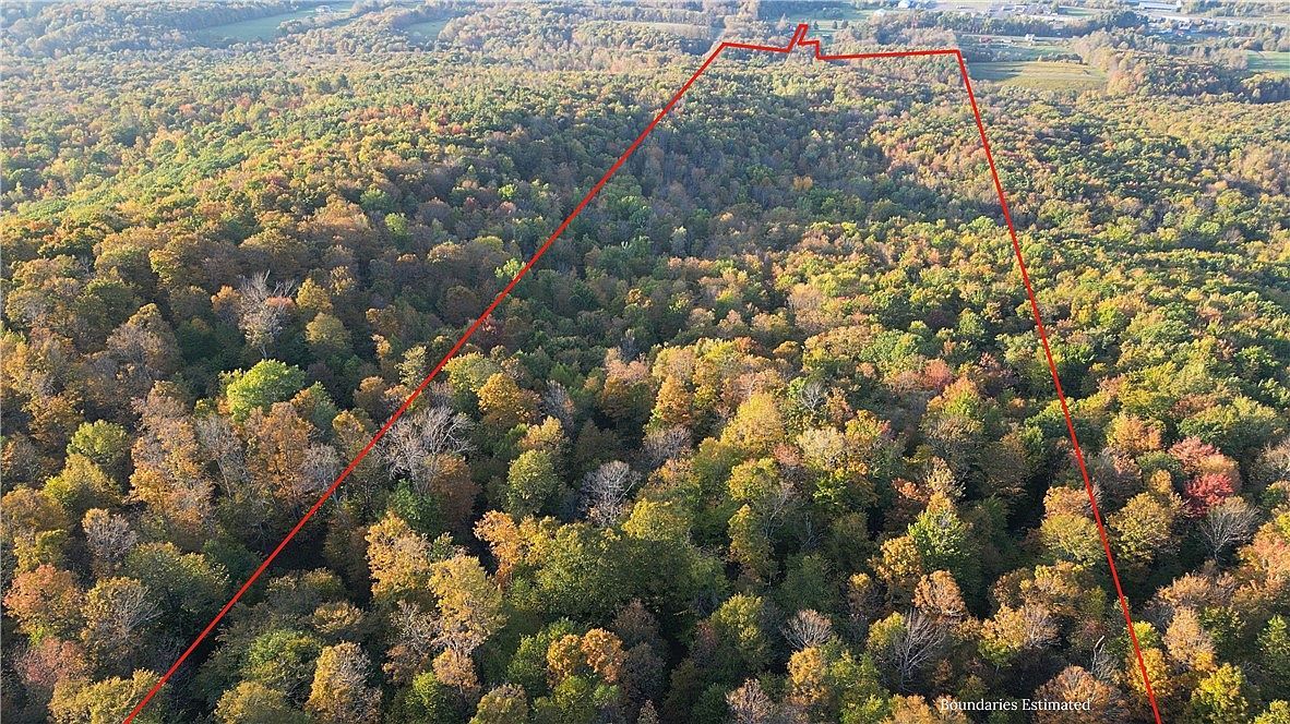 448 Southside Dr Oneonta, NY 13820 - Thumbnail 5