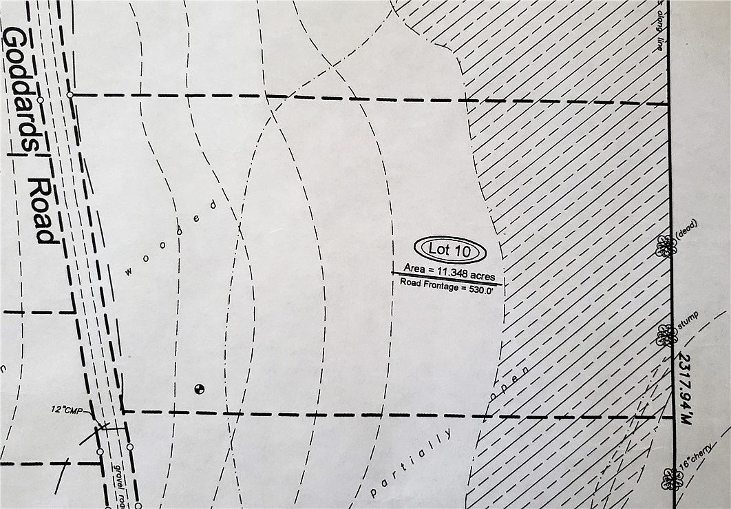 LOT 10 Goddards Rd LOT 10 Mount Vision, NY 13810 - Thumbnail 5