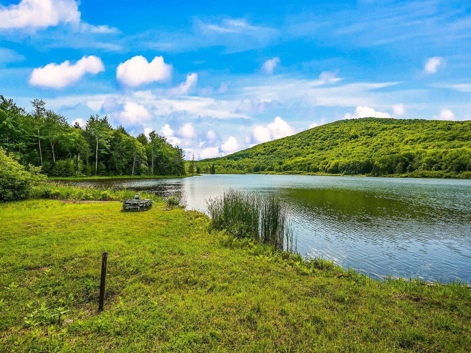 0 Deer Path Stamford, NY 12167 - Thumbnail 5