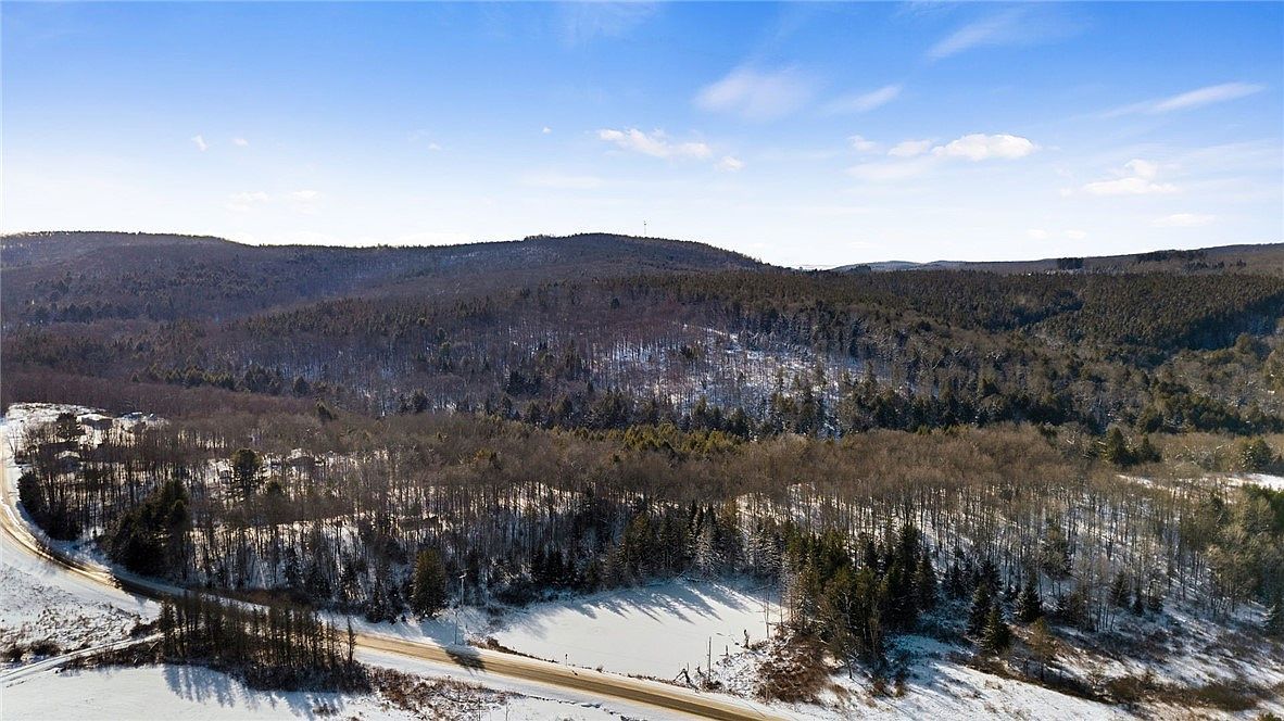 L1 County Road 16 Norwich, NY 13815 - Thumbnail 5