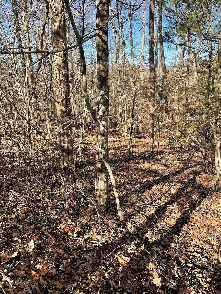 LOT 6 Fern Dr Clarksville, VA 23927 - Thumbnail 5