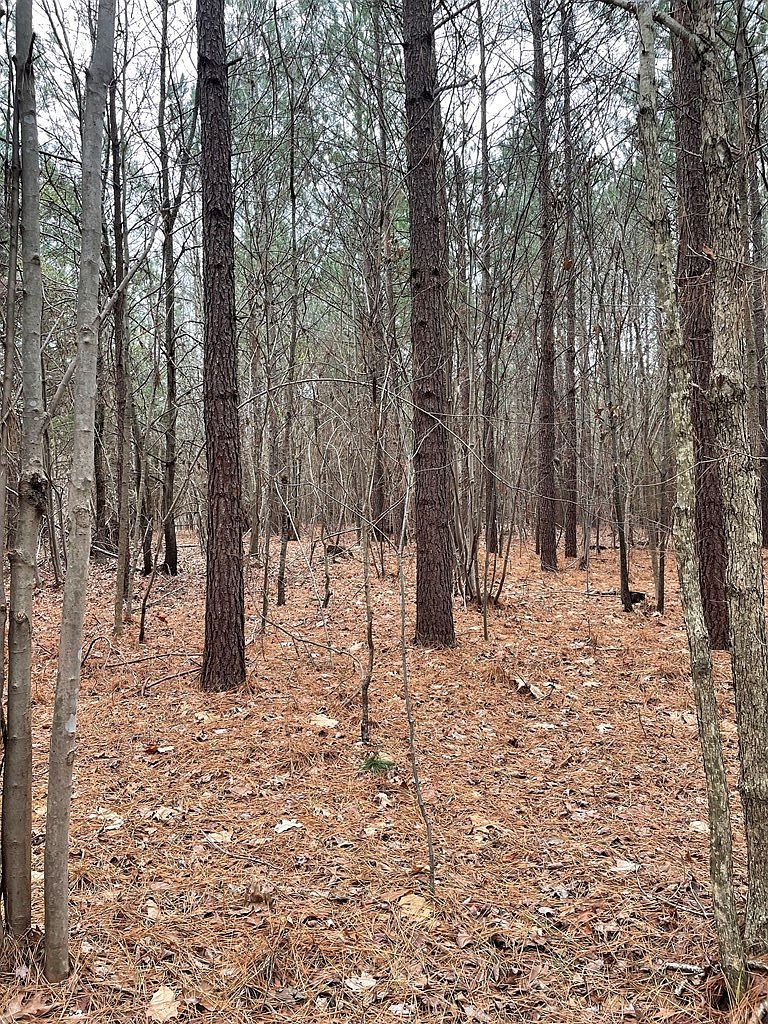 8 Eagles Rest Dr Clarksville, VA 23927 - Thumbnail 5