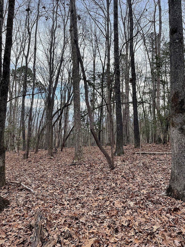 130 Eagles Rest Dr Clarksville, VA 23927 - Thumbnail 5