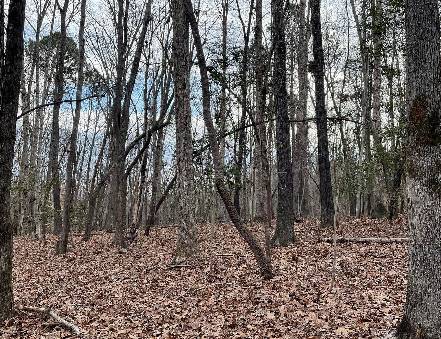 130 Eagles Rest Dr #10 Clarksville, VA 23927 - Thumbnail 5