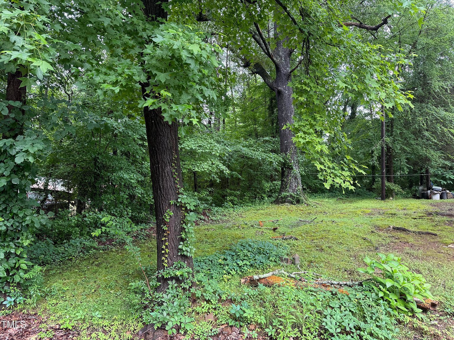 0 Thomas St Henderson, NC 27536 - Thumbnail 5