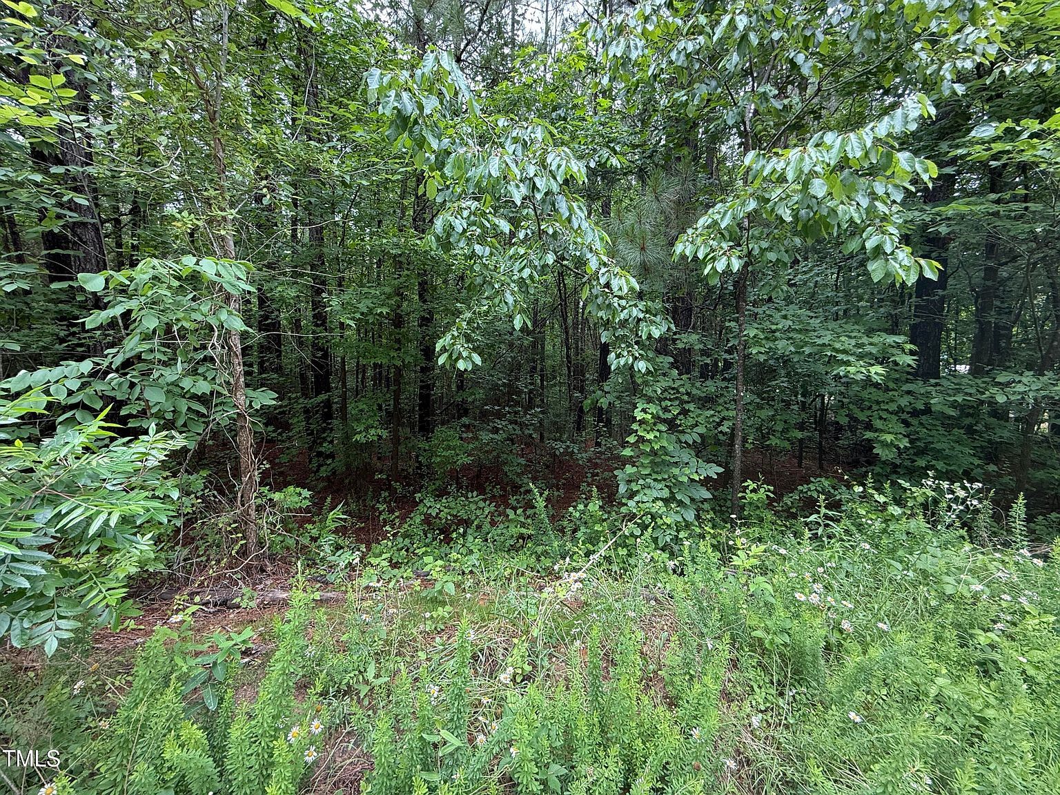 729 Regina Ln LOT 86 Henderson, NC 27537 - Thumbnail 5