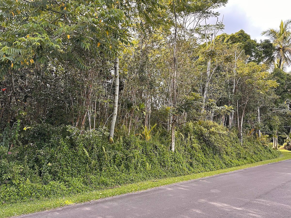 Kupono St Pahoa, HI 96778 - Thumbnail 5