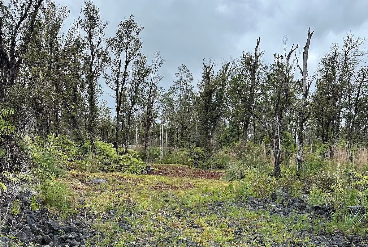 Mahina St Mountain View, HI 96771 - Thumbnail 5