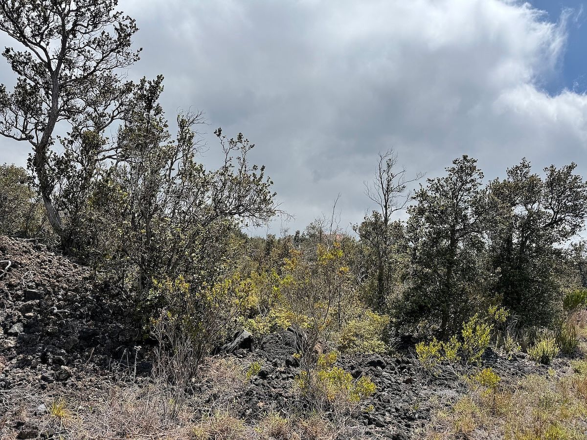 Plumeria Ln LOT 1 Captain Cook, HI 96704 - Thumbnail 5