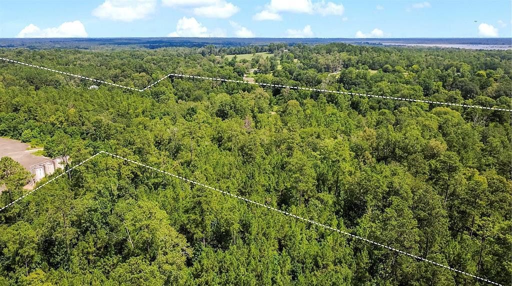 0 County Road 4090 Woodville, TX 75979 - Thumbnail 5