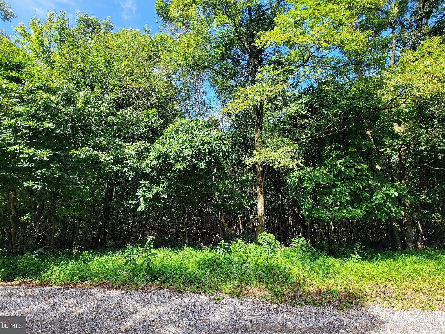 0 Whitetail Crossing Rd Tamaqua, PA 18252 | Land/Lot