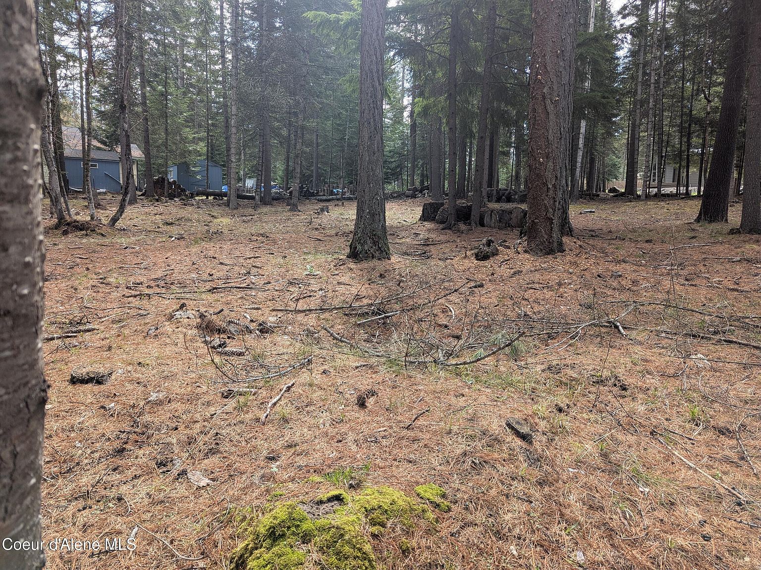 Nna W Florida Cir LOT 3 Worley, ID 83876 - Thumbnail 5