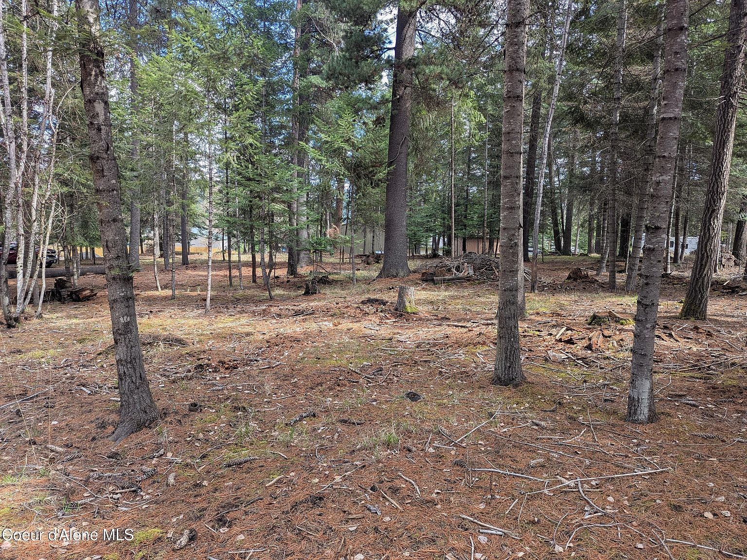 Nna W Florida Cir LOT 4 Worley, ID 83876 - Thumbnail 5