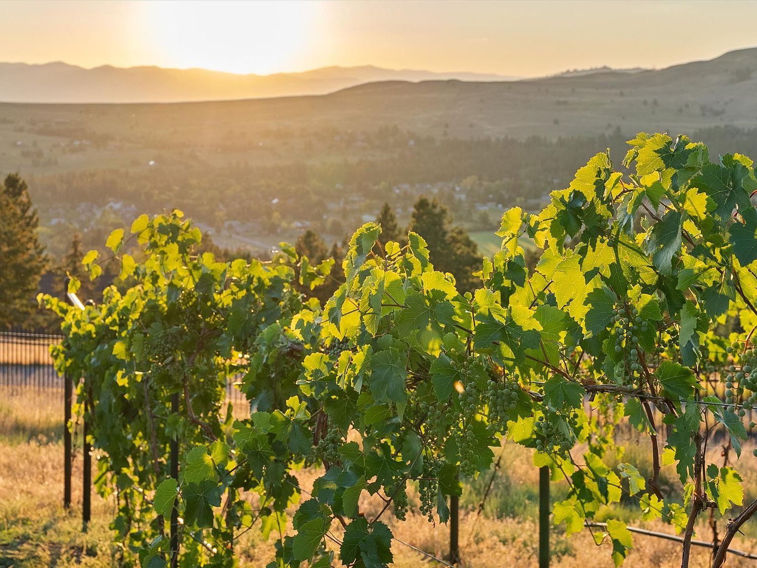 2722 Contour Rd Missoula, MT 59802 - Thumbnail 5