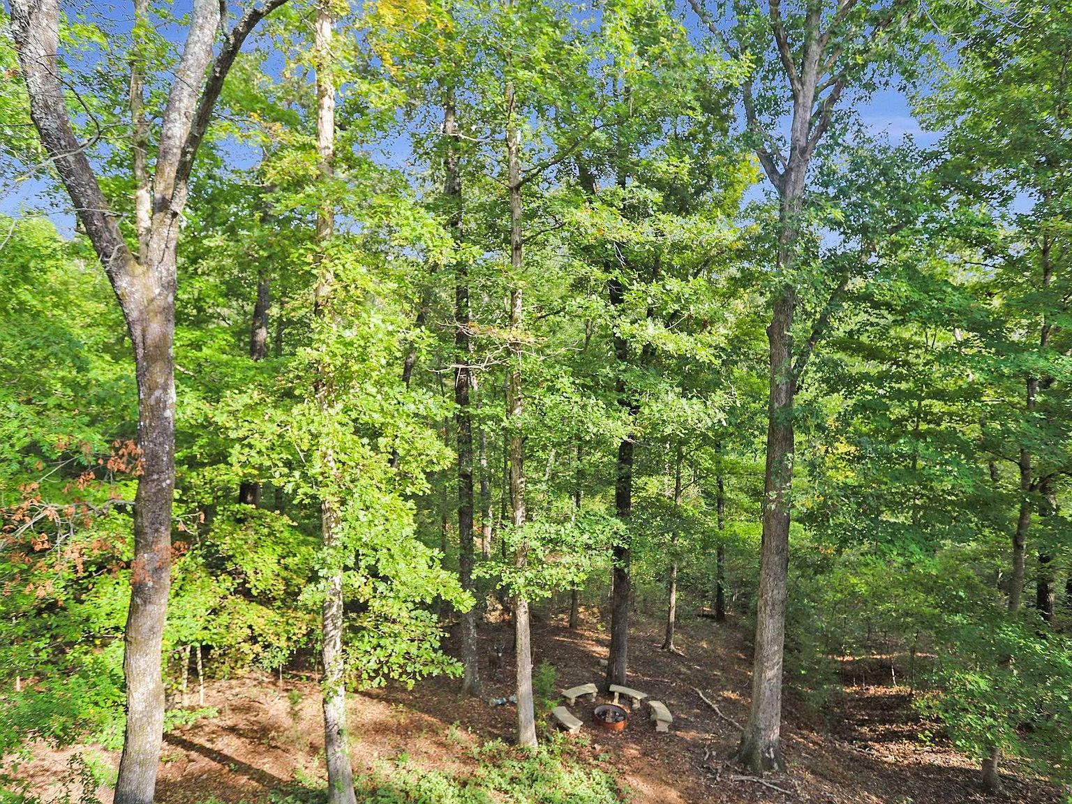 1386 Boatwright Trl Murray, KY 42071 - Thumbnail 5