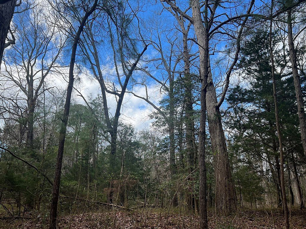 LOT 3A Harbour Ln Cape Charles, VA 23310 - Thumbnail 5