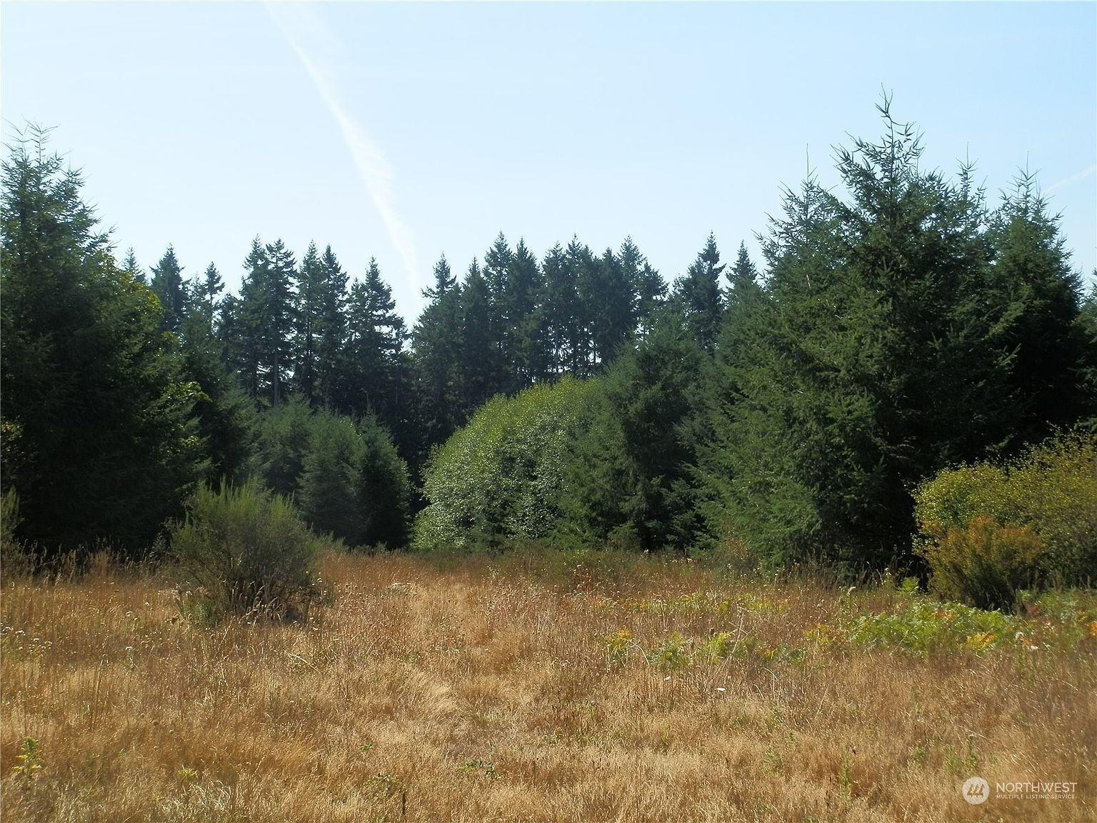 0 Xx Maxine Dr Winlock, WA 98596 - Thumbnail 5