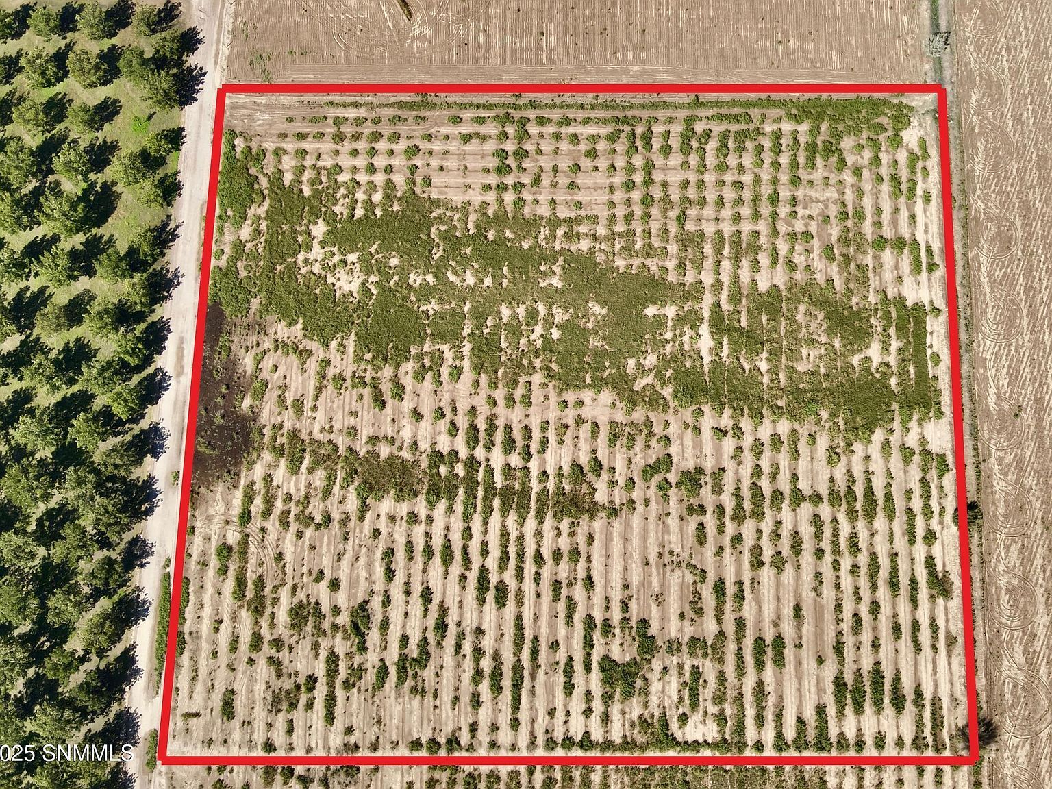 213 Sunshine Ln Mesquite, NM 88048 - Thumbnail 5